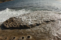IMG_3978a